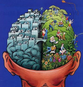 Illustration of brain types